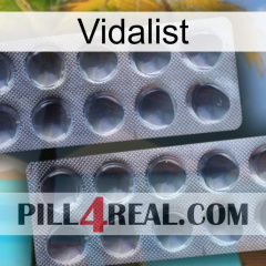 Vidalist 31